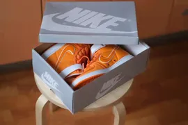 Nike Vandal High Supreme Doc Brown