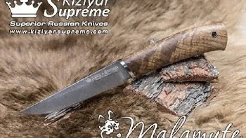 Нож Malamute от Kizlyar Supreme